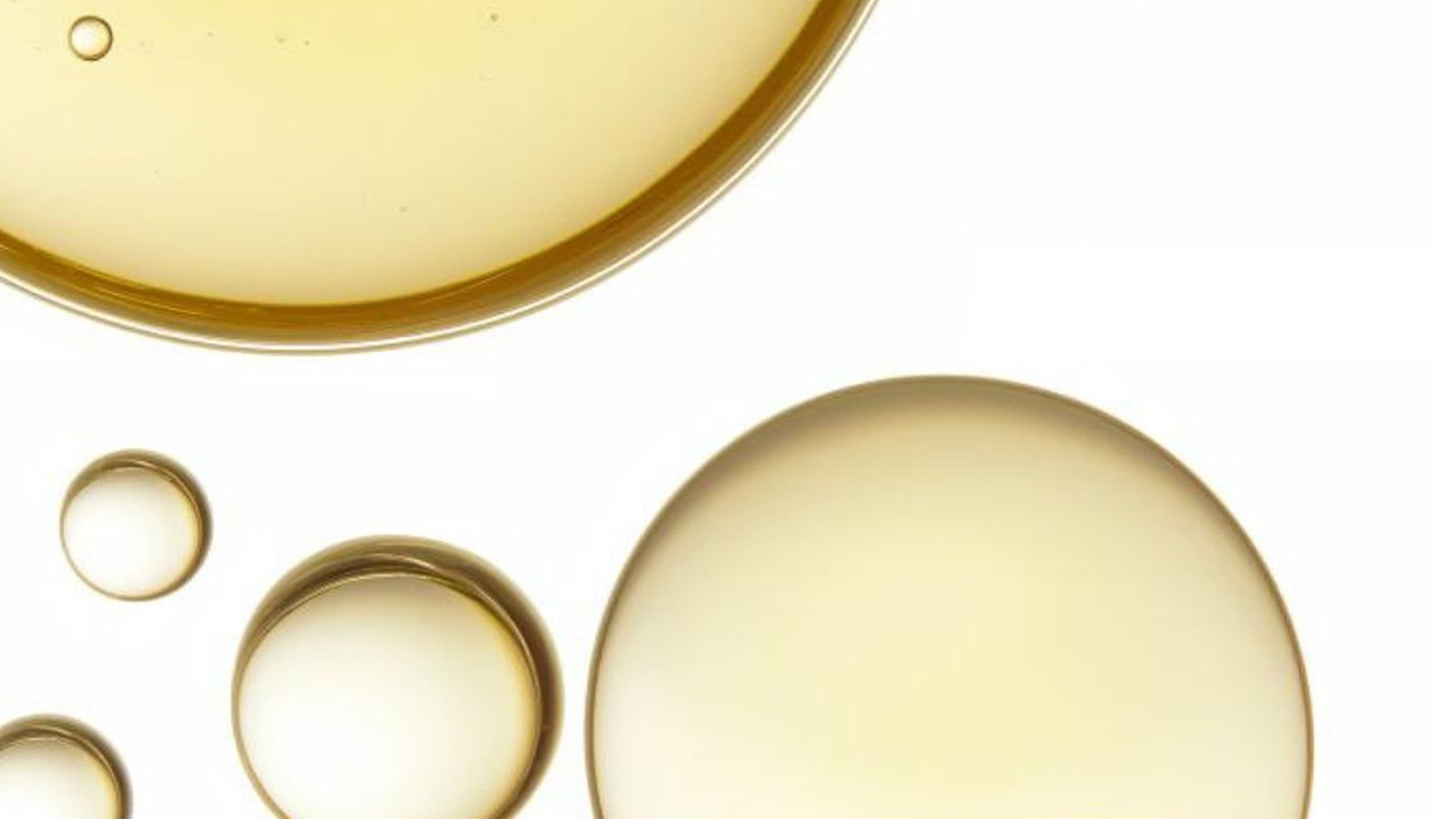 Omega-3 & Synergistic Nutrition: Tailored Support for Every Part of Your Wellness Journey