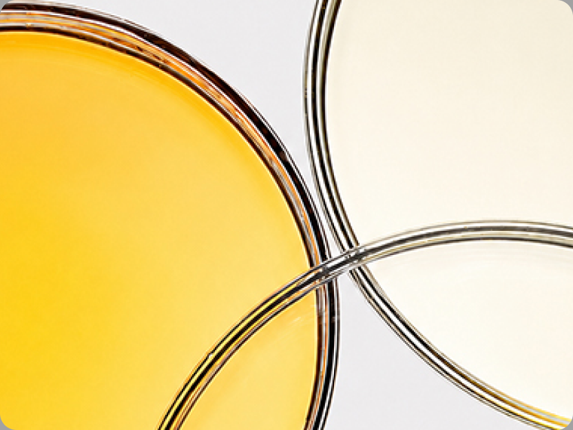 Heart-Healthy Nutrition: The Synergy of Omega-3 and Targeted Nutrient Blends